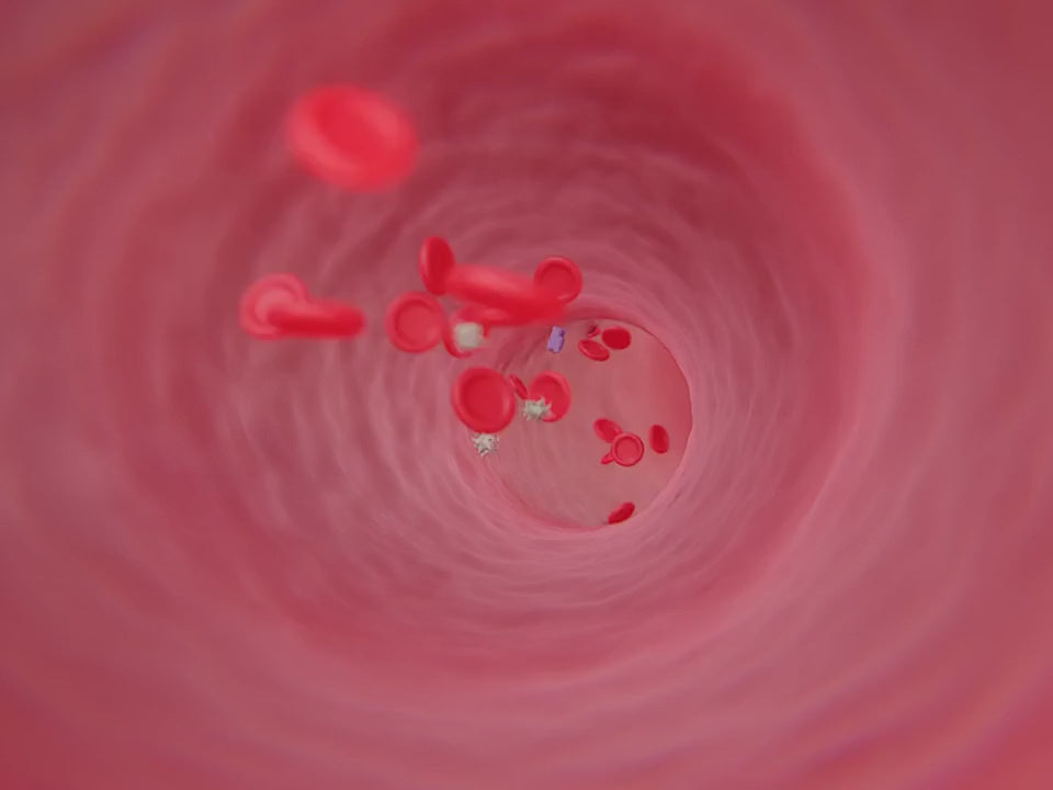 Video laden: